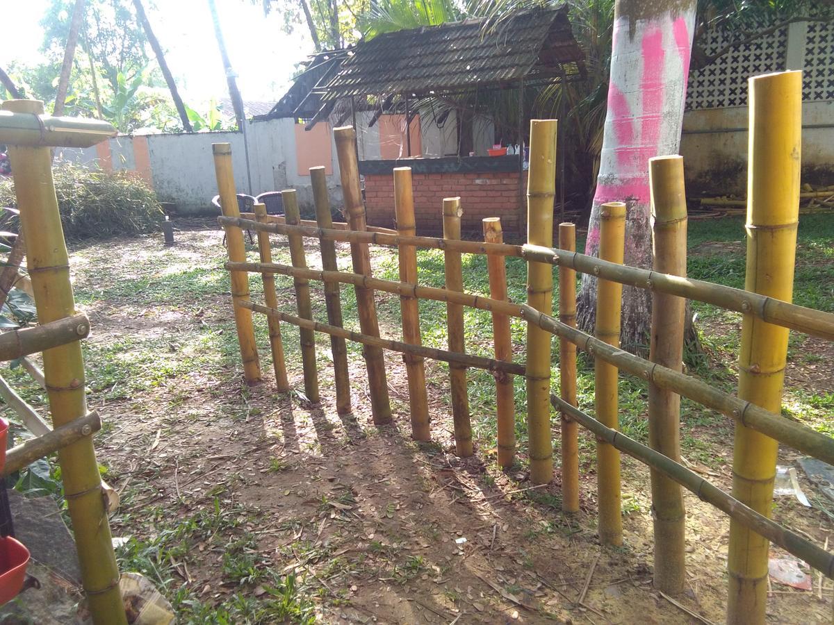 Elphinstone Residency Bed & Breakfast Kochi Exterior foto